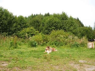 2009-08-15_ntb_4570