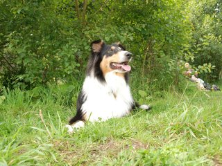 2009-08-15_ntb_4581
