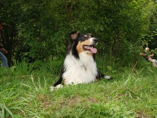 2009-08-15_ntb_4582