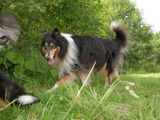 2009-08-15_ntb_4583