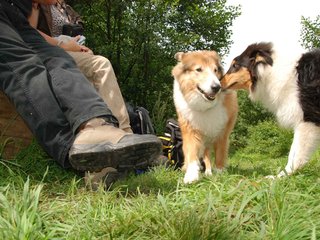 2009-08-15_ntb_4585