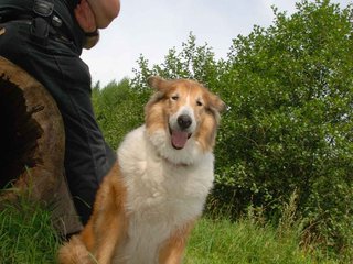2009-08-15_ntb_4586