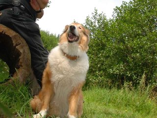 2009-08-15_ntb_4587