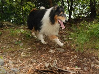 2009-08-15_ntb_4596
