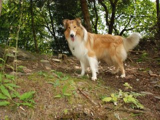 2009-08-15_ntb_4597