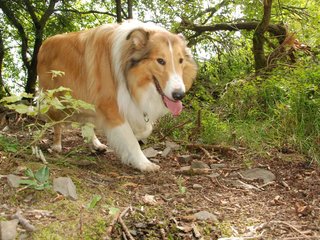 2009-08-15_ntb_4598
