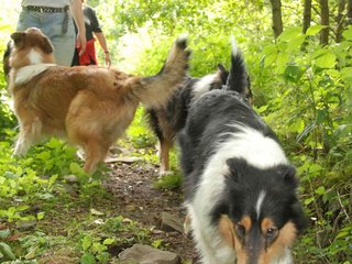 2009-08-15_ntb_4604