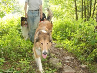 2009-08-15_ntb_4605
