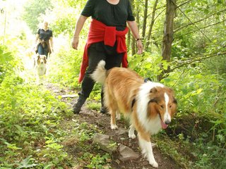 2009-08-15_ntb_4607