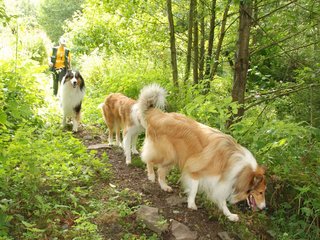2009-08-15_ntb_4609