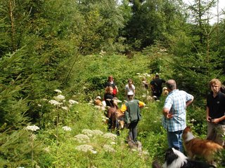 2009-08-15_ntb_4614