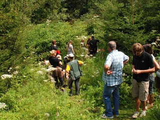 2009-08-15_ntb_4616