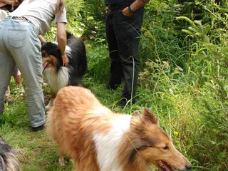 2009-08-15_ntb_4620