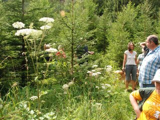 2009-08-15_ntb_4621