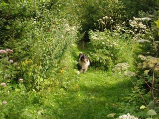 2009-08-15_ntb_4634