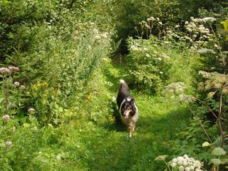 2009-08-15_ntb_4635