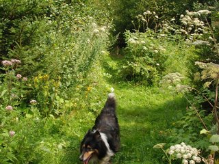 2009-08-15_ntb_4636