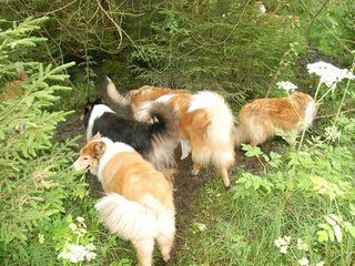 2009-08-15_ntb_4642