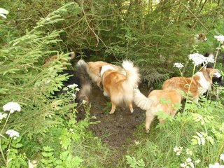 2009-08-15_ntb_4645
