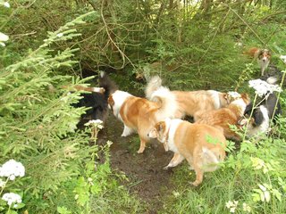 2009-08-15_ntb_4646