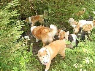 2009-08-15_ntb_4647