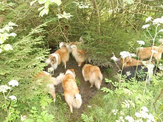 2009-08-15_ntb_4649