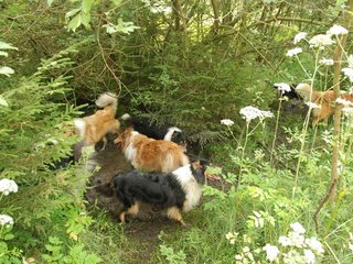 2009-08-15_ntb_4653