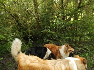 2009-08-15_ntb_4662