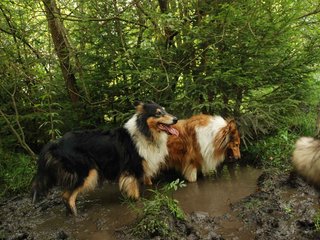 2009-08-15_ntb_4664