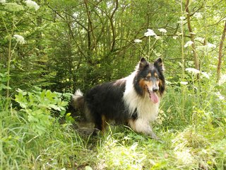 2009-08-15_ntb_4666