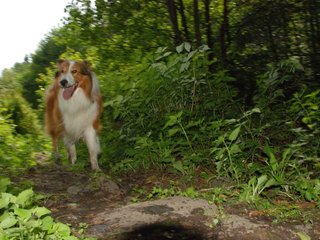 2009-08-15_ntb_4668
