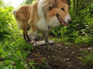 2009-08-15_ntb_4669