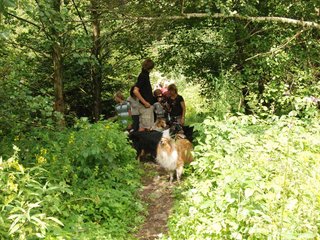 2009-08-15_ntb_4671