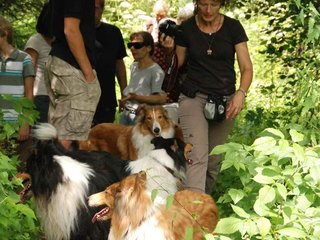 2009-08-15_ntb_4672