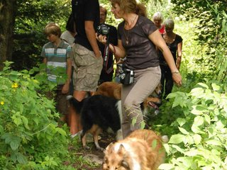 2009-08-15_ntb_4673