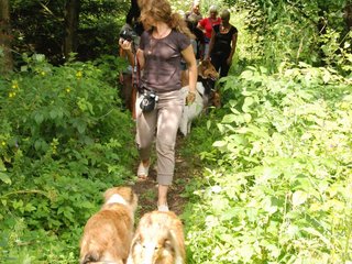 2009-08-15_ntb_4674