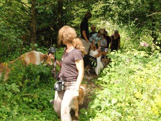 2009-08-15_ntb_4675