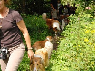 2009-08-15_ntb_4677