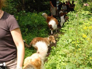 2009-08-15_ntb_4678