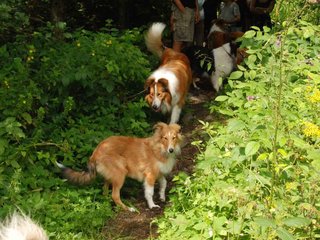 2009-08-15_ntb_4679