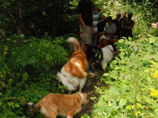 2009-08-15_ntb_4680