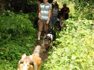 2009-08-15_ntb_4682