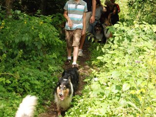 2009-08-15_ntb_4683