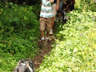 2009-08-15_ntb_4684