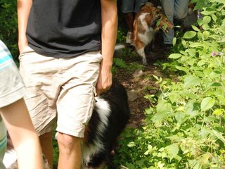 2009-08-15_ntb_4686