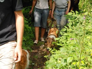 2009-08-15_ntb_4688