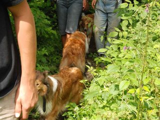 2009-08-15_ntb_4689