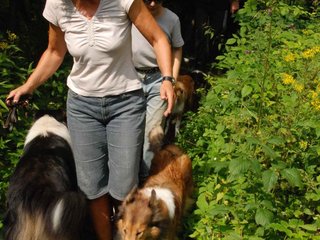 2009-08-15_ntb_4693