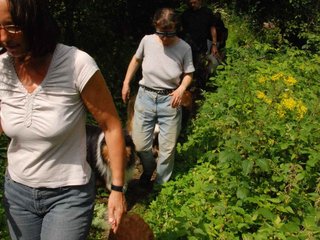2009-08-15_ntb_4695