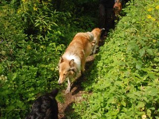 2009-08-15_ntb_4696